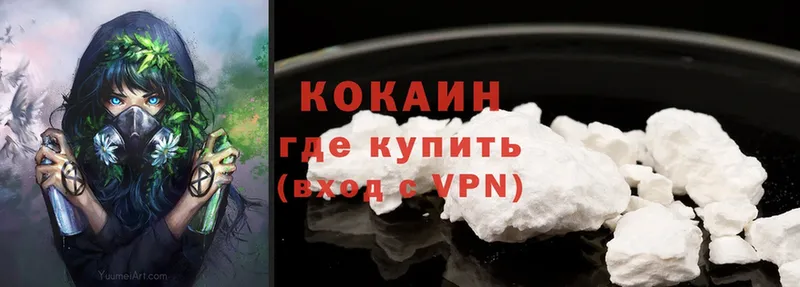 Cocaine Fish Scale  Кудрово 